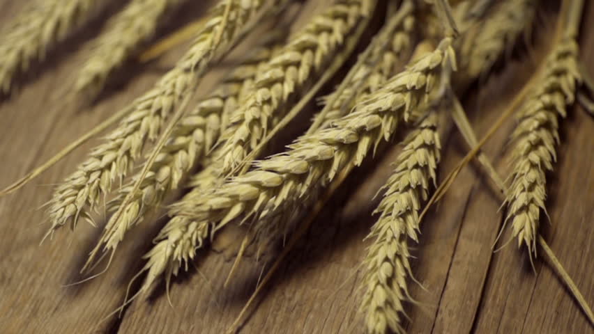 golden wheat on the old wooden background