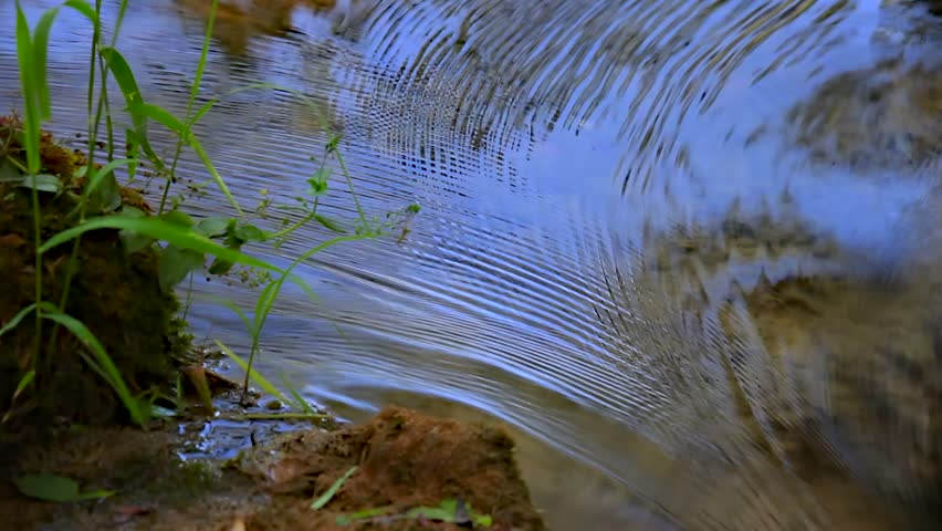 water flowing in the stream