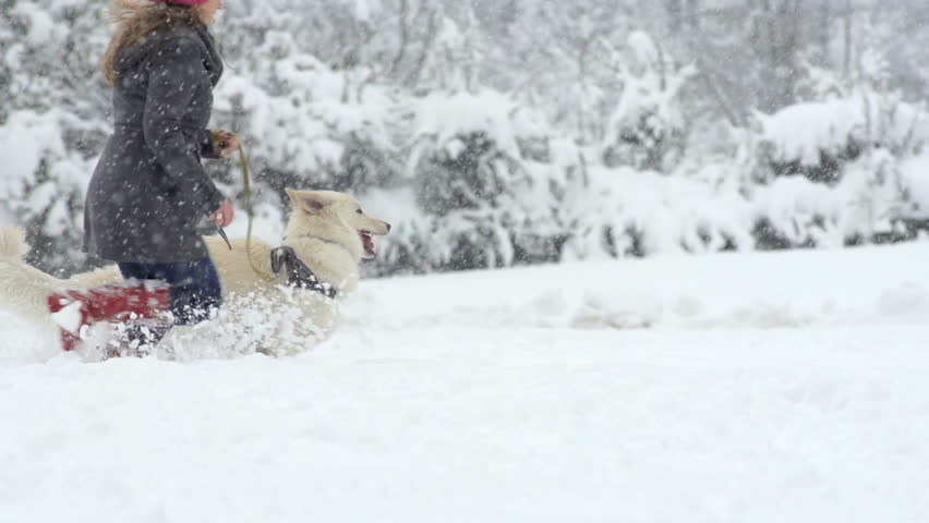 Slow Motion Of Girl Running Through Snowy Park With Her White Swiss Shepherd Dog