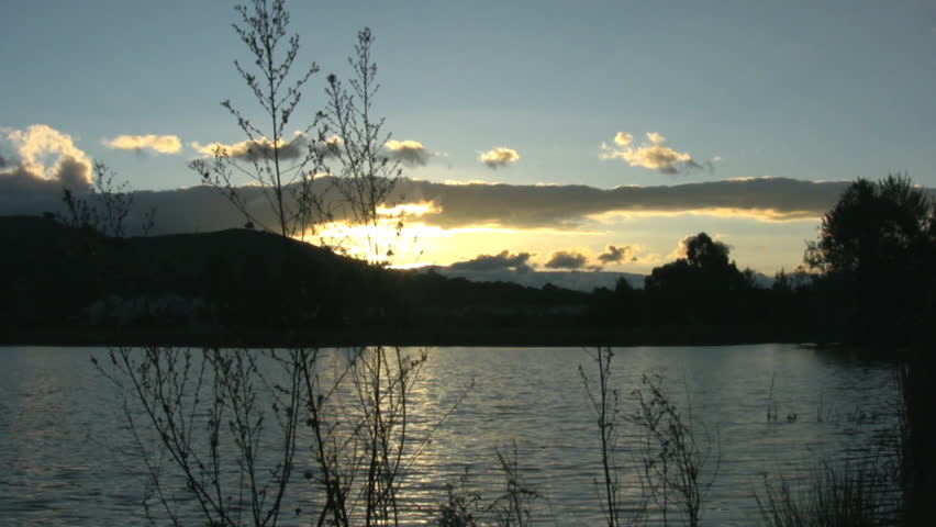 Branches silhouette - sunset on a lake