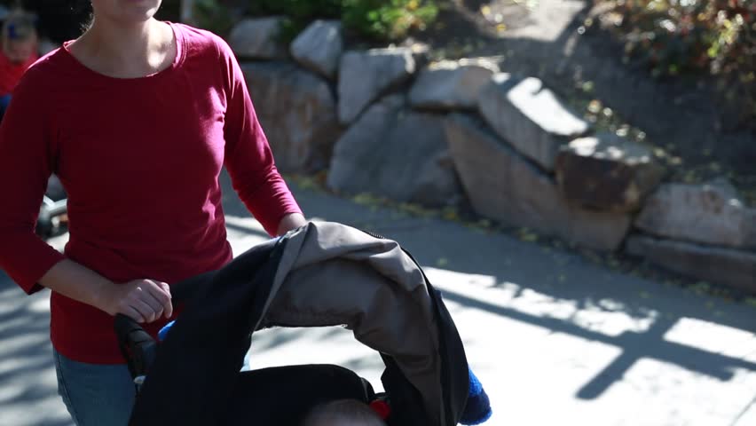 A mother pushing her toddler around the zoo in a stroller