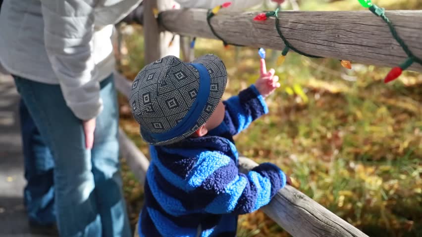 A baby playing with the christmas lights while at the zoo