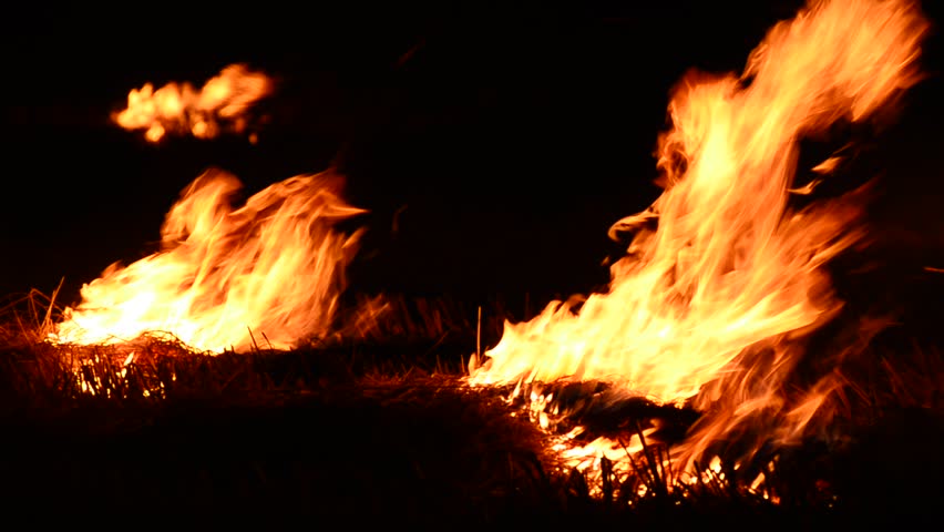 Fire flame isolated on black background. flame with alpha mask for easy