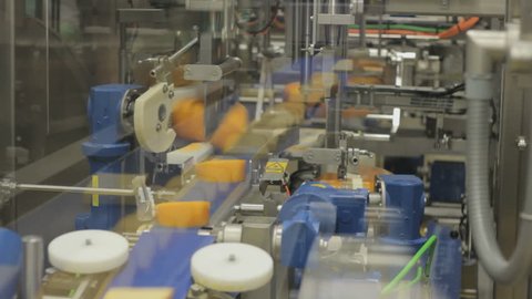 Cheese travel on the conveyor belt in a food factory