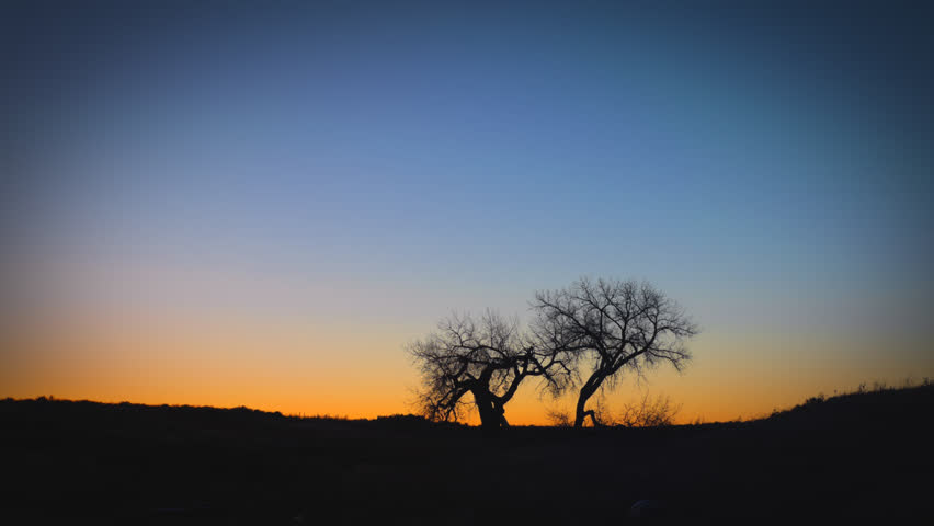 Super wide shot of beautiful trees on the prairie at Sunrise. HD 1080p time