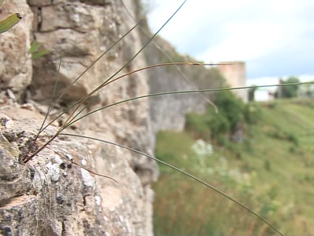 Focus change. The ancient wall on the hill, side view