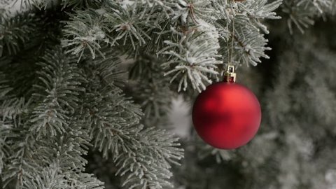 Red Christmas ball on a fir tree branch with snow