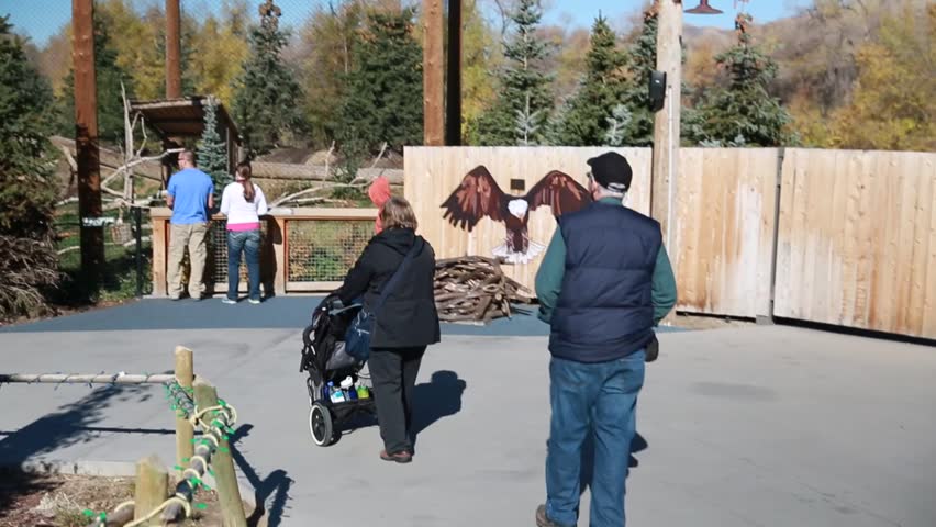 Grandparents with their grandchildren at the zoo