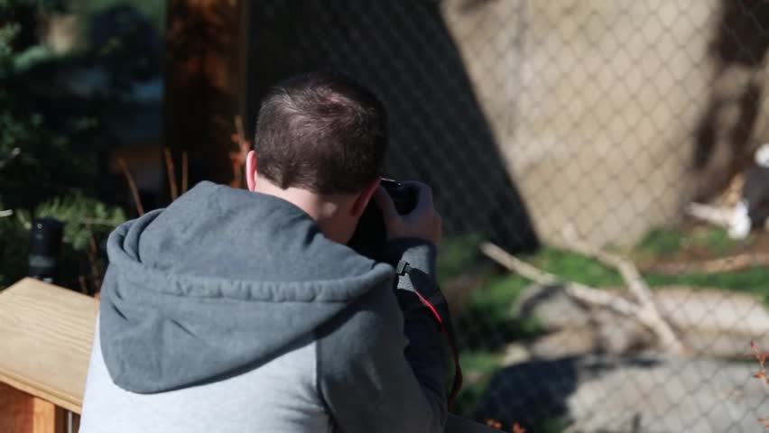 A photographer taking pictures of a bald eagle at the zoo