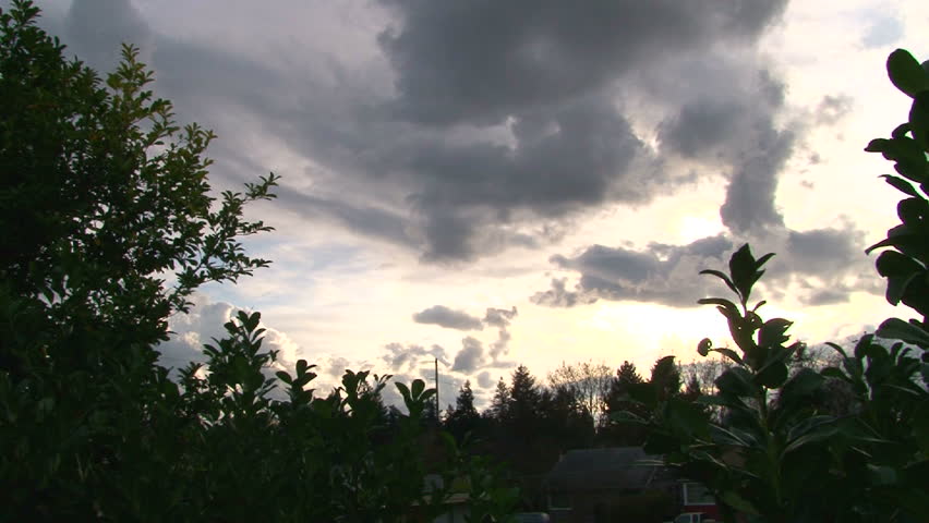 Camera panning shot during cloudy sunset over tree line in Portland
