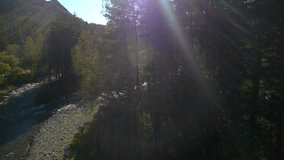 stock video footage aerial view forest mountain river ,Altay,nature