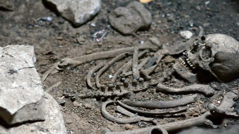 Human bones grave skeleton