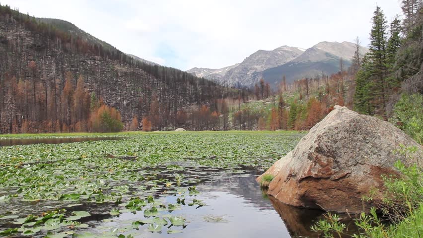 Cub Lake after Wildfire (Estes Park, Colorado)