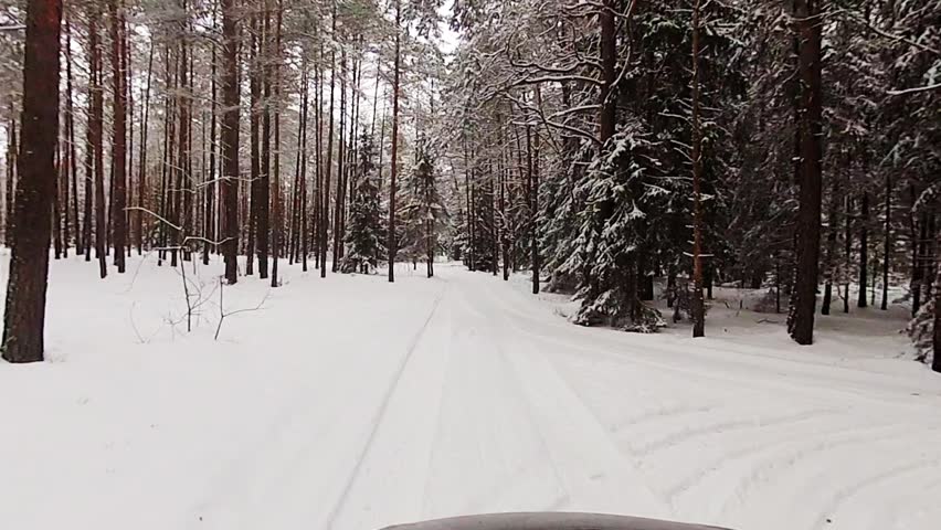 winter forest road