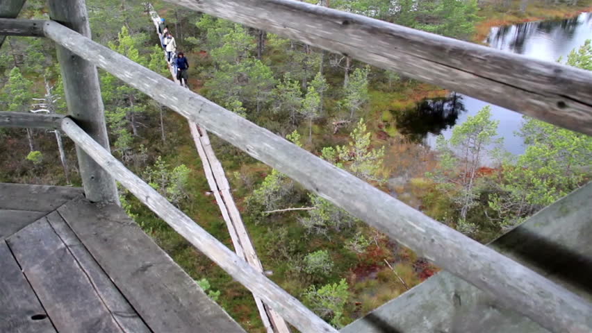 Overhead view of the people walking on the wooden trail in the middle of the bog swamp marsh land where it is surrounded by water.