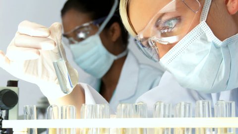 Female scientists examine a test tube