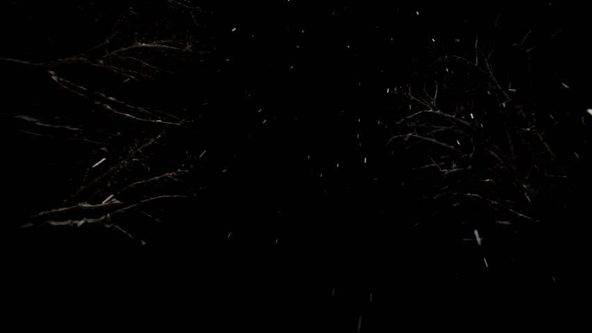 Snow at night falling from the sky
