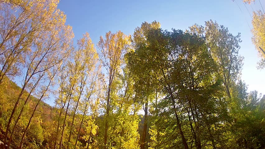 autumn colorful trees, wide angle panning shoot  View on tree tops from the