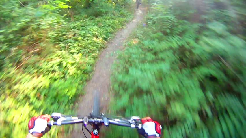 HD: Downhill on mountain bike - Stock Video. Mountain Bike from Rider's POV