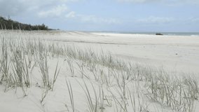 4x4 drives along the beach on Stradbroke Island, Queensland with grasses blowing in the wind