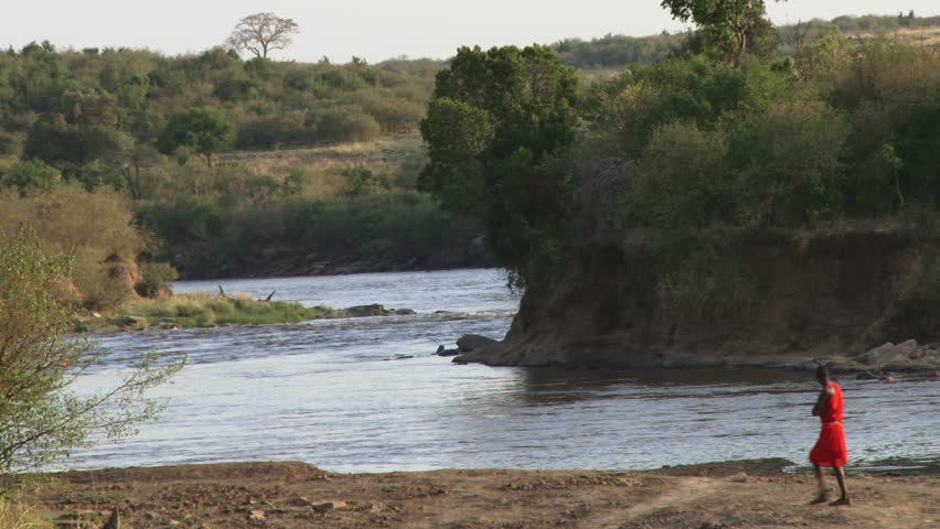 A local person watches hippos in mara river.
