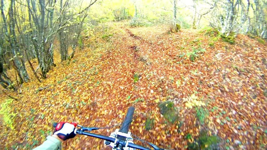 Mountain Bike from Rider's POV in HD - Stock Video. Ride over forest autumn