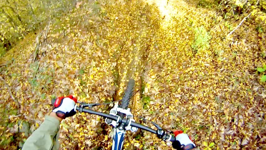 HD: Mountainbiking in autumn leafs forest - Stock Video. Mountain biking in
