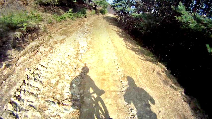 HD: Mountain biking in forest - Stock Video