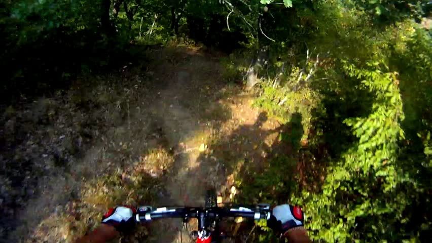 HD: Mountain biking in forest - Stock Video. Extreme cycling sport race.
