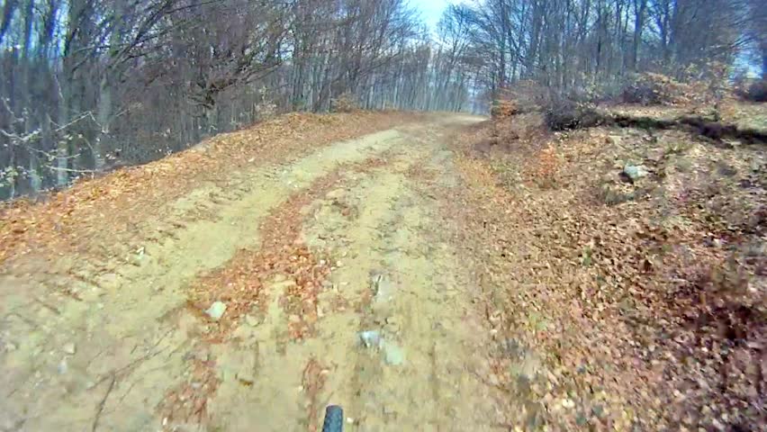 Mountain Bike traveling fast along dirt track deep in forest