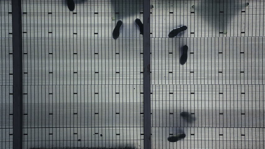 silhouette people's feet on transparent ceiling Stock Footage Video ...