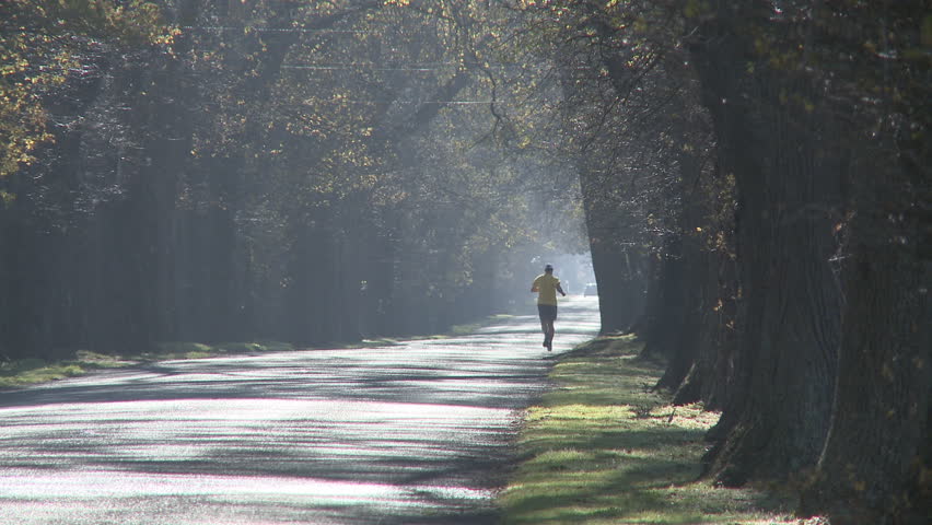 A male runner goes running into the distance down a oak tree lined avenue.