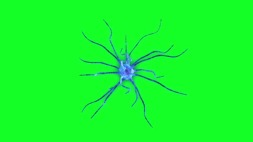 cyclical rotation of the neuron cells on a green background