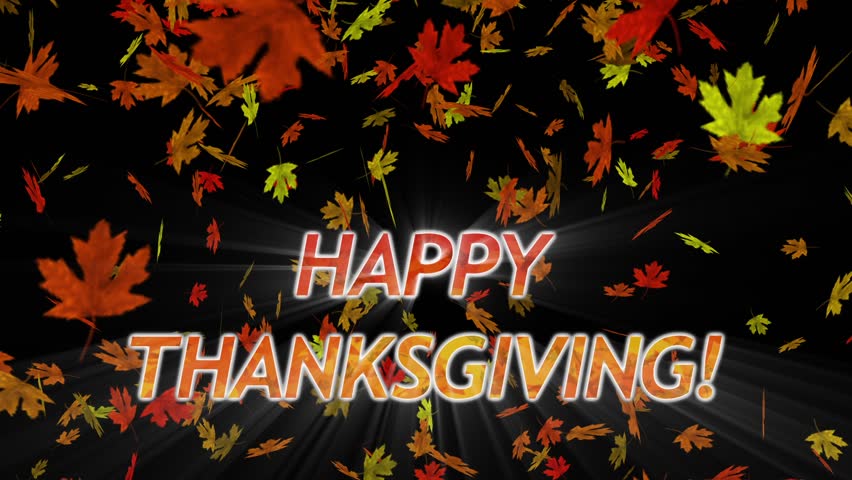 “Happy Thanksgiving!” greeting is displayed over a perfectly seamless (no fade) looping background with a colorful display of falling autumn maple  leaves in shades of red, orange, gold, green, etc.