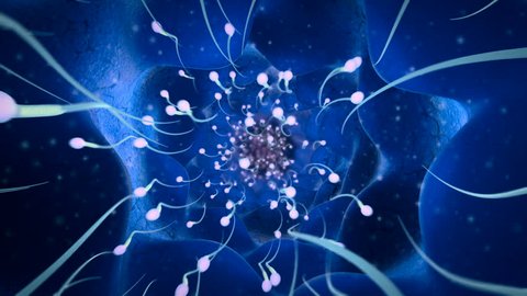 High quality animation of group of sperms racing in competition to reach an egg in uterus.		