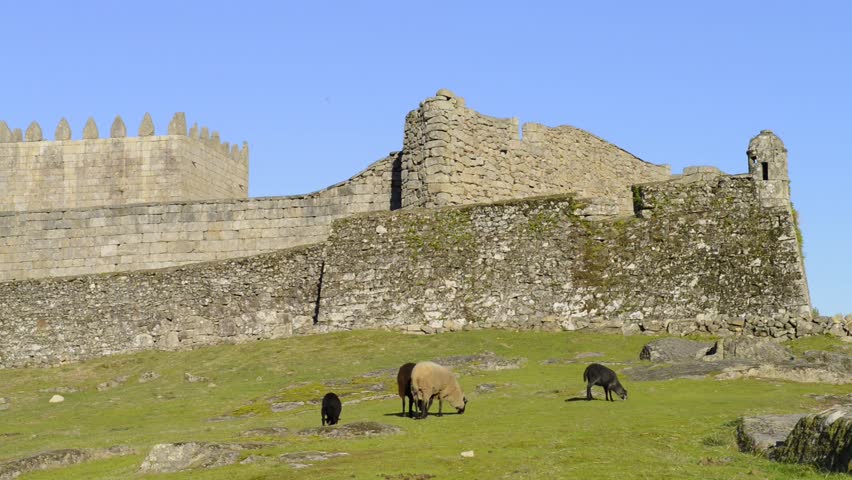Lindoso Castle and sheeps on the green field, Northern Portugal.