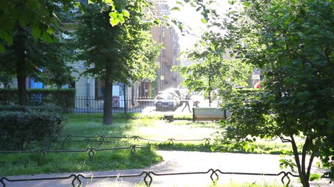 Poplar fluff  in sunbeam in park. June, St. Petersburg, Russia. Real time, 1080p
