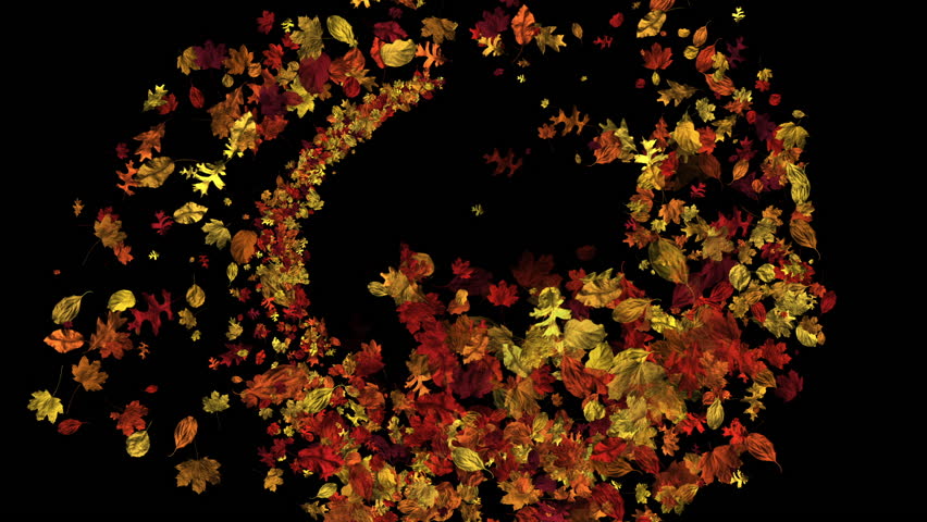 Swirling animation of autumn leaves in stylized colors spiraling outwards