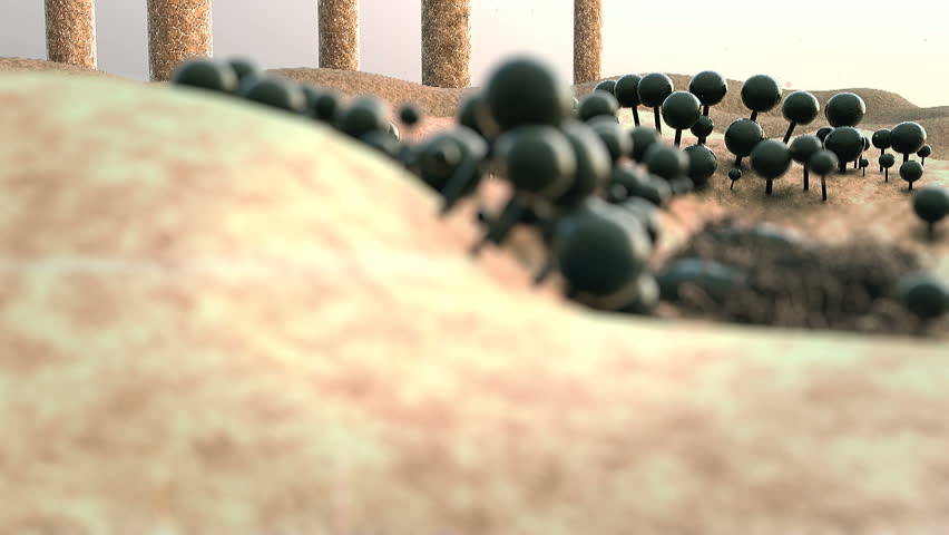 colony of fungi, landscape of microworld, fly around colony of fungi on a leather surface