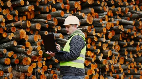 Forest employee near stacks of logs episode 3