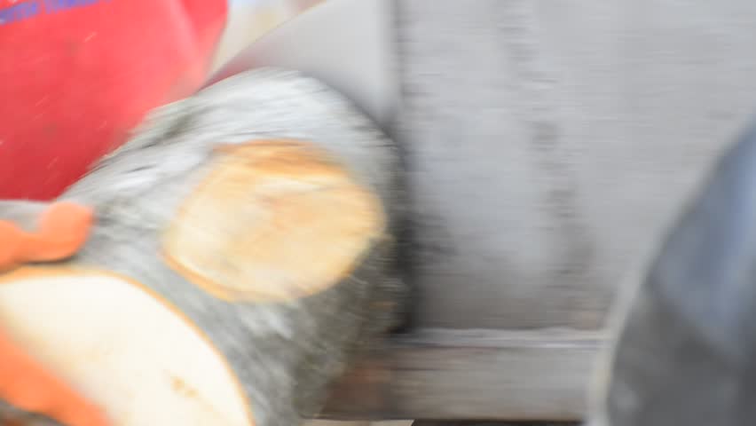Cutting slices of wood log with a circular saw, close up, sound included