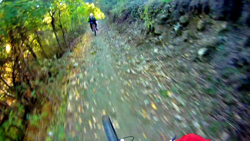 Mountain Bike Video: a Single Track in the Forest - Stock Video. Riding a