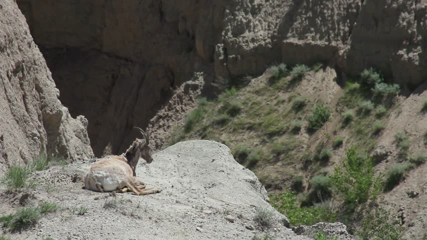 Badlands National Park, Interior, South Dakota, USA