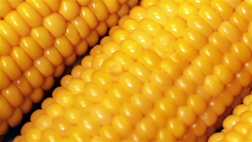 corn rotation