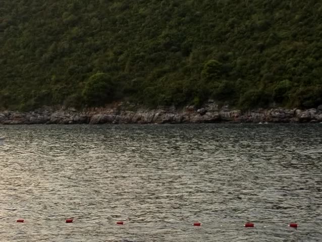 Boats cruising by the lake shore