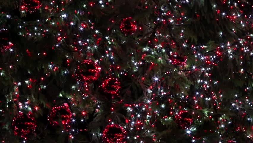 Twinkle Christmas Lights