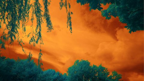 orange sky and cyan trees, infrared time lapse,
infrared filter 630 nm