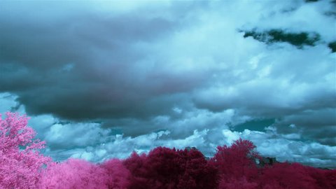 blue sky and purple trees infrared time lapse,
infrared filter 680 nm