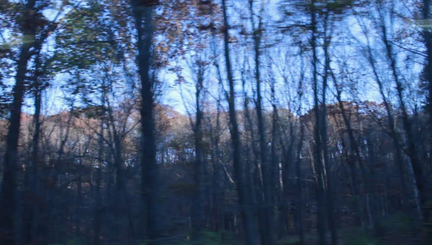 Eastern Side Plates from Train or car in Autumn
