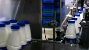 Bottling line in dairy ; Production line for bottling milk,video clip